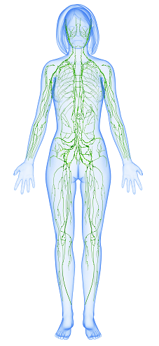 7 Ways to Improve Lymphatic Health in Parma