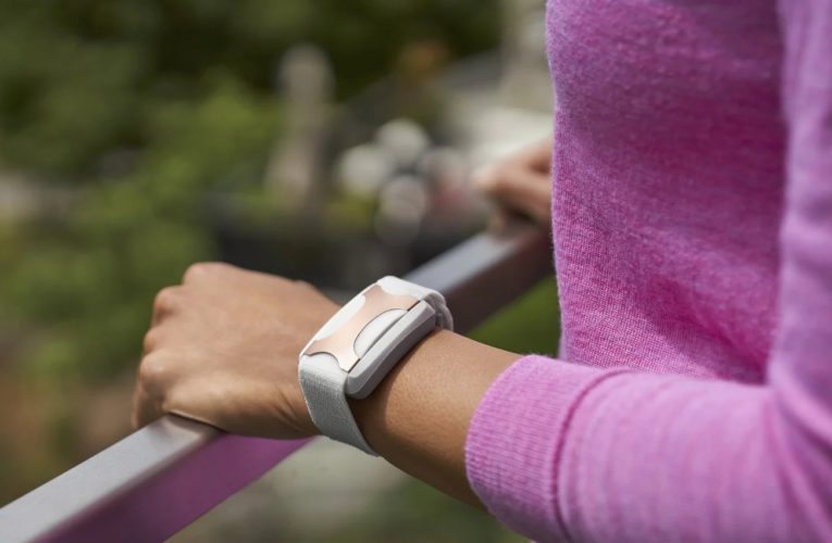 Parma: Can a Wearable Device Reduce Stress?